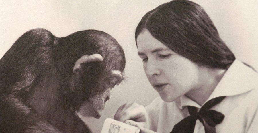 The fascinating life of the Russian scientist Nadezhda&nbsp;Ladygina-Kohts.
